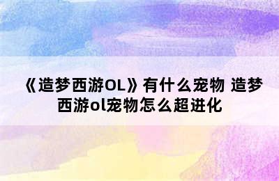 《造梦西游OL》有什么宠物 造梦西游ol宠物怎么超进化